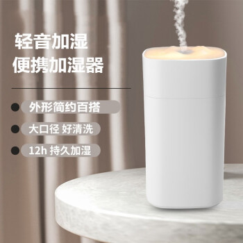 实用小礼品加湿器迷你卧室家用车载办公桌面生日礼物中秋节礼物女生送女友女朋友闺蜜员工伴手礼四方雪山白色【插电版】